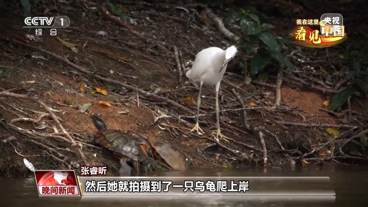 走遍名山大川 他用镜头记录这片土地的美