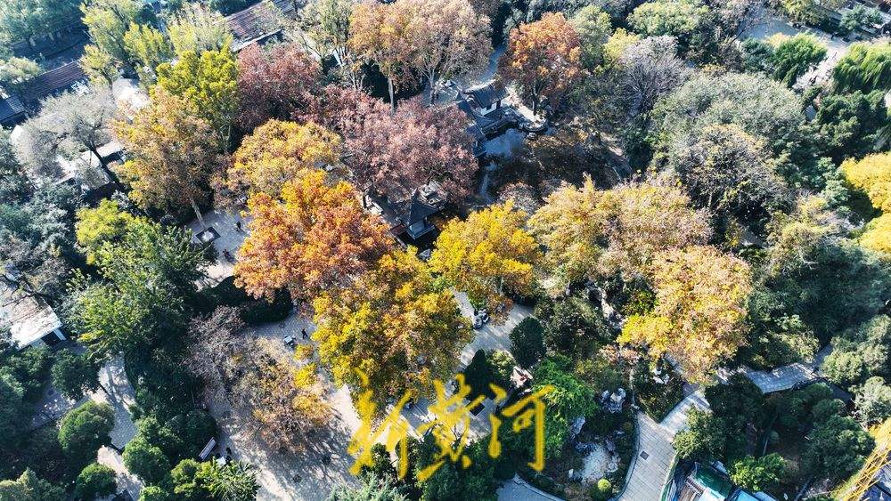 泉城百年历史的公园里邂逅初冬美景