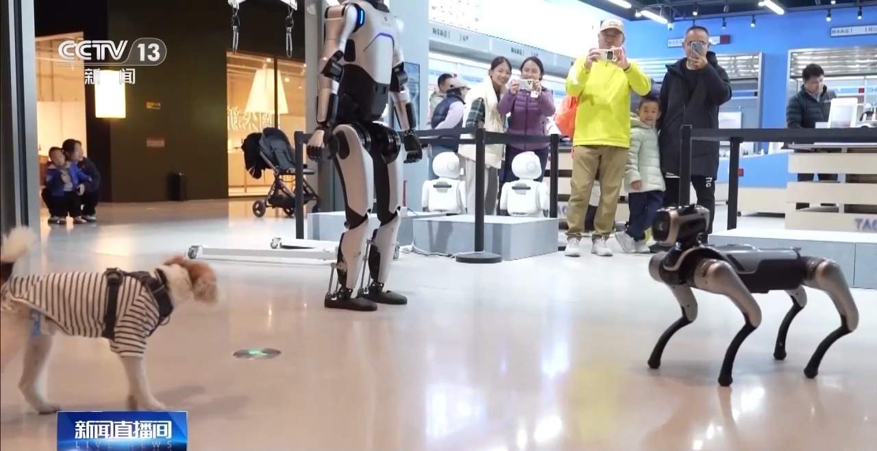 AI宠物、AI眼镜……“科技+”如何改变日常生活？