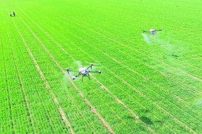 因地制宜发展农业新质生产力