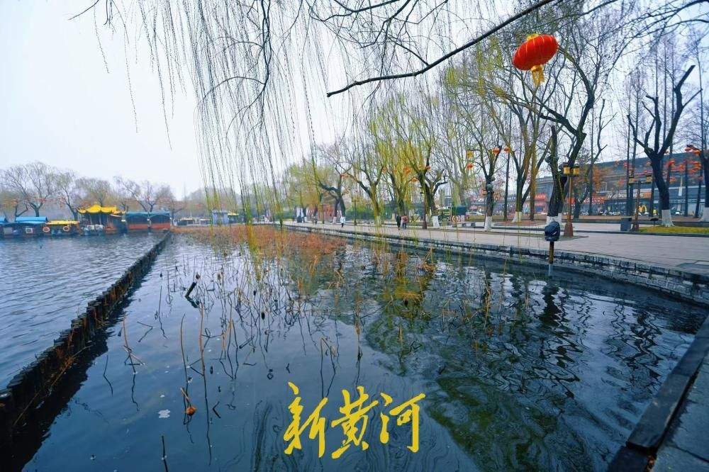 湖畔嫩柳吐新芽 绘就泉城初春画卷