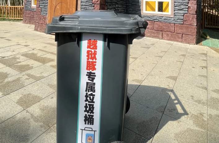 悬赏奖励升级！“越狱”卡皮巴拉的位置已初步锁定
