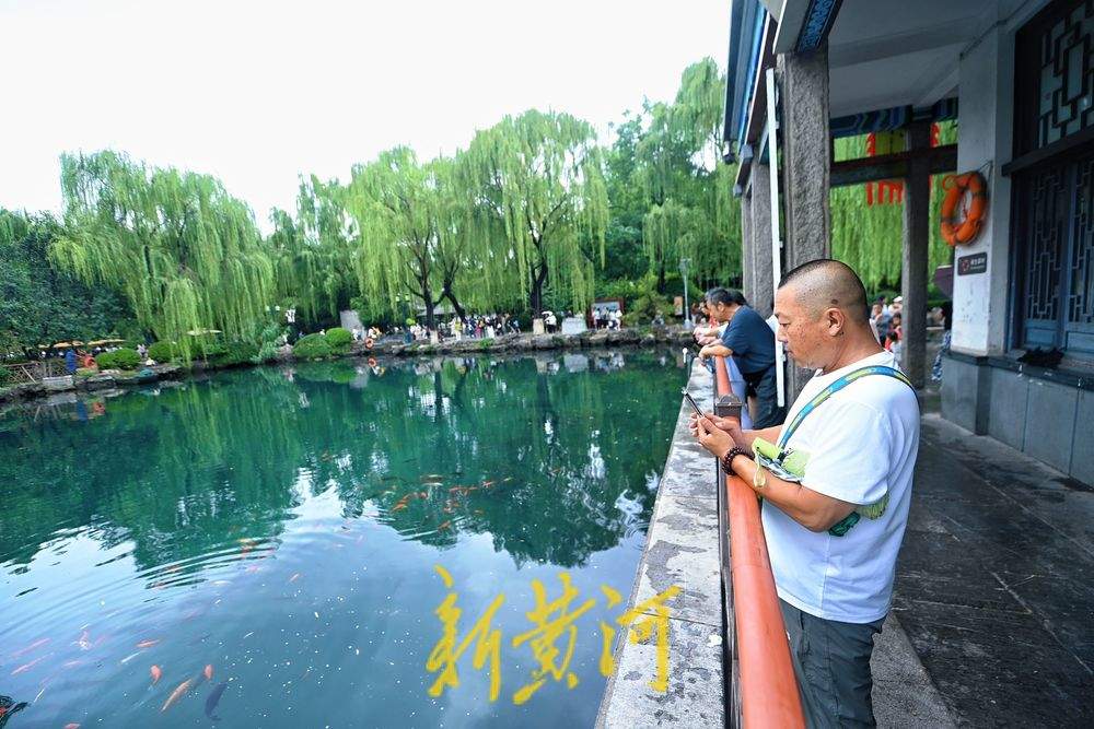 一年四季 泉在济南丨雨后五龙潭人气旺 “龙潭观鱼”别有意境