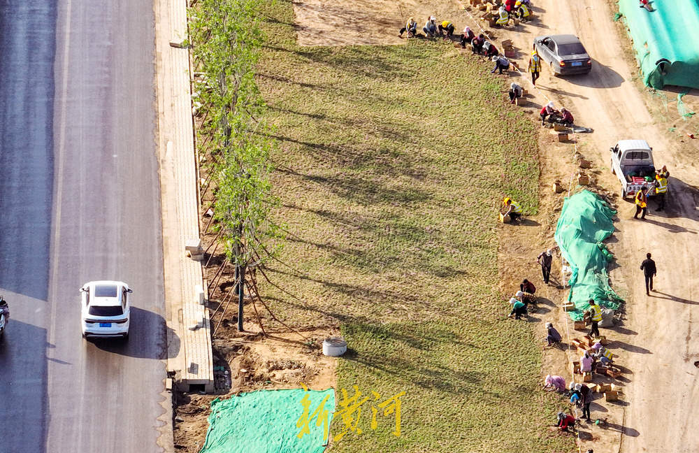 济南港九路拓宽改造 北入口打造花海美景