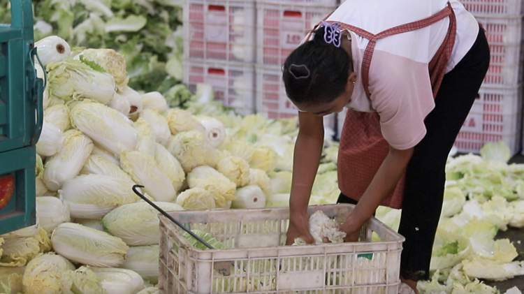 一根黄瓜5块钱背后的菜价“狂飙”,记者赴蔬菜之乡探究竟