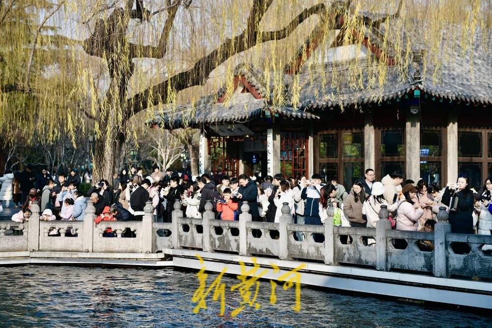 暖阳映照济南泉水欢腾 趵突泉畔迎冬日“小阳春”