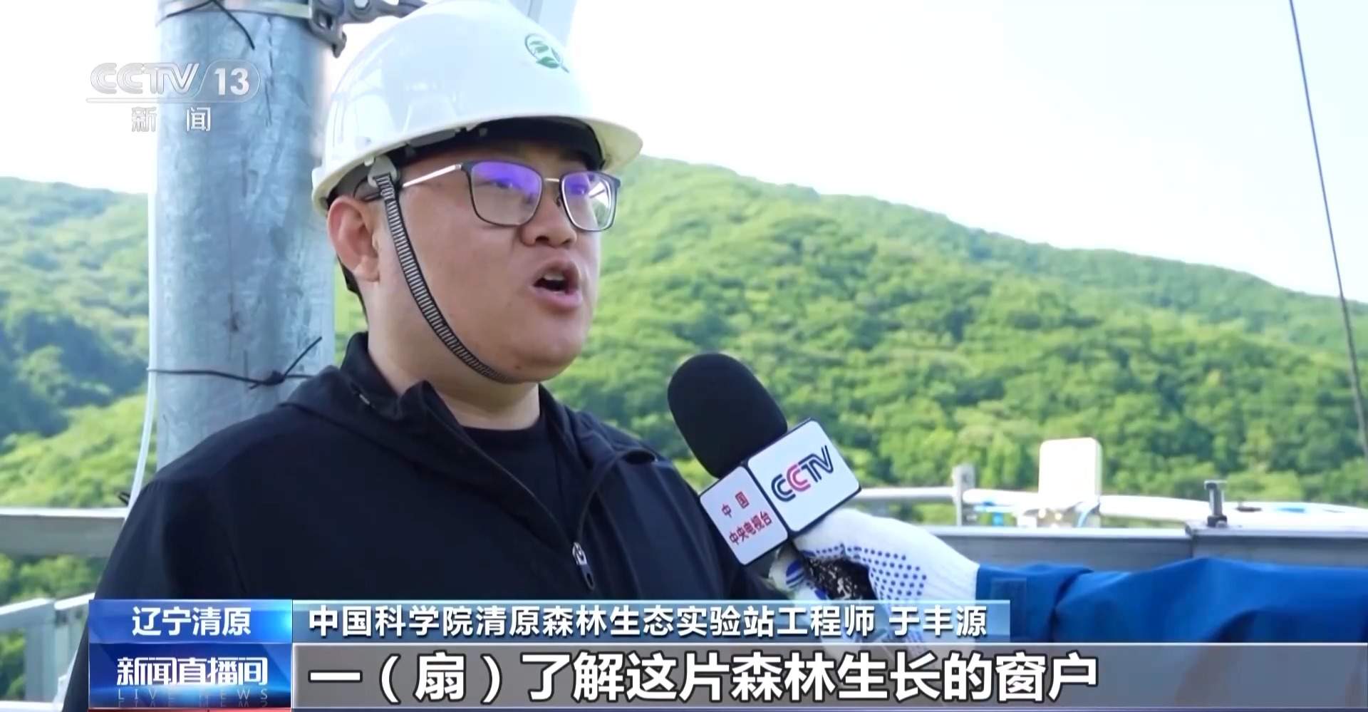 每片叶子都能查！三座巨塔就能监测整片森林