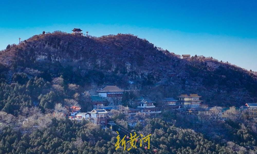 “泉”在济南过大年｜新春佳节，济南千佛山上鸟儿欢歌飞舞迎新年