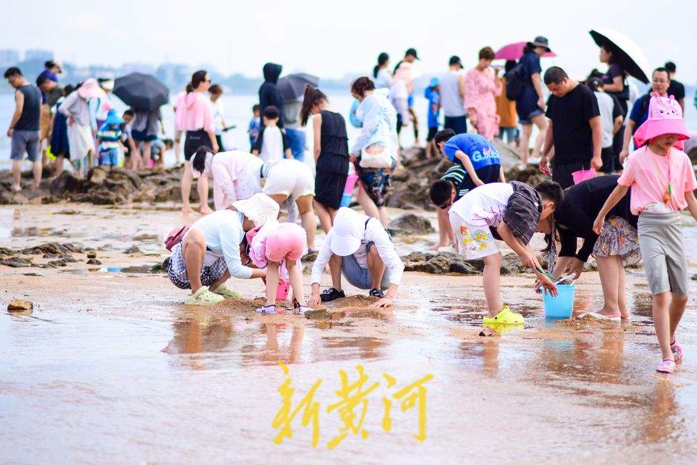 踏浪赶海讨海货，夏日来山东玩海吧