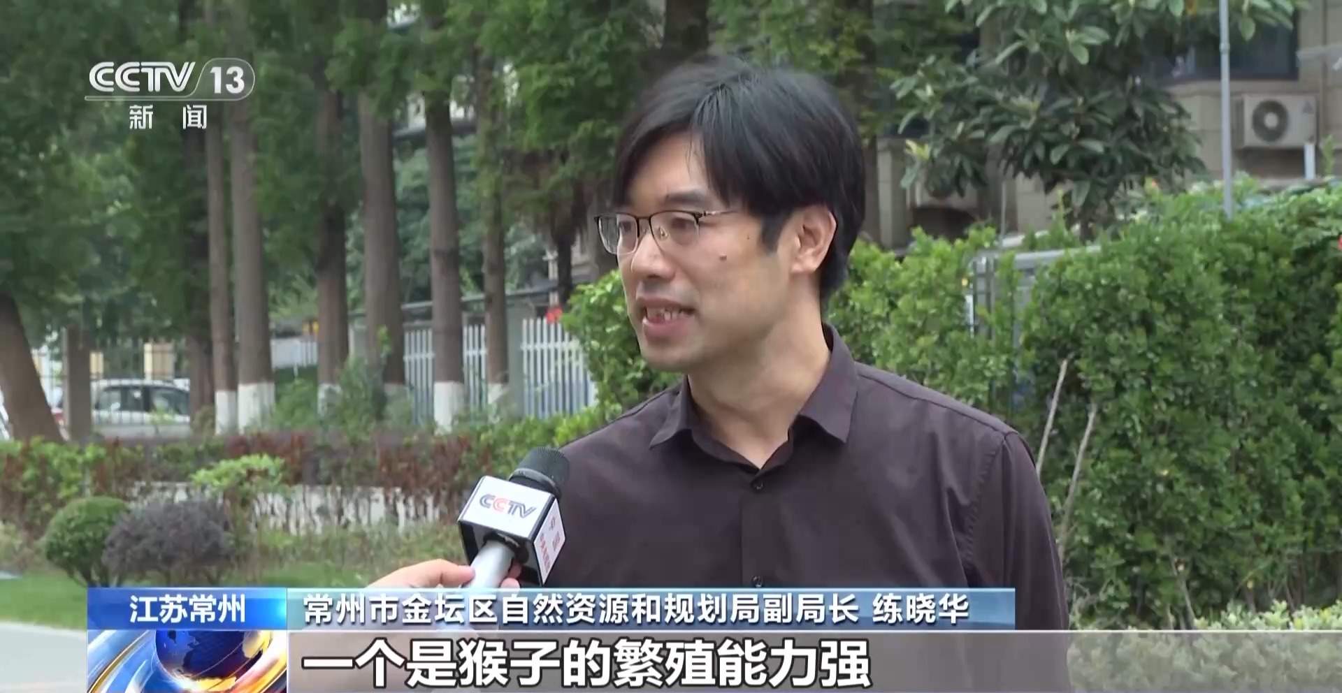 江苏一景区“月均6万元收编泼猴”引关注 “人猴冲突”如何解决?