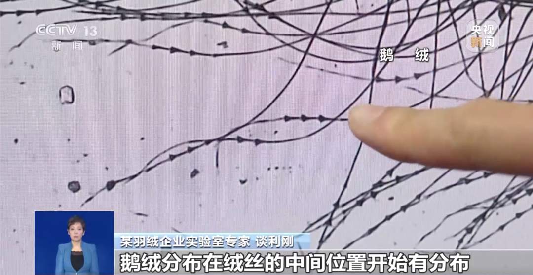 300元到底能不能买一件真羽绒服?