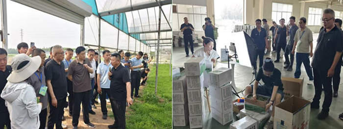山东：以盐碱地综合利用为突破，着力将非耕地资源转化为饲草产业“绿洲”