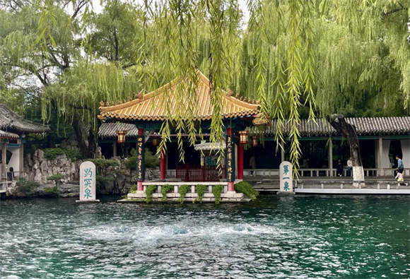 趵眼|全球儒商齐聚!山东收获的不只是投资