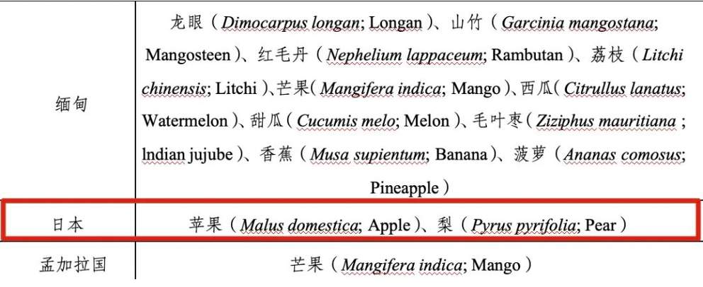 一个日本静冈蜜瓜要600元！你被这些“洋水果”背刺过吗？