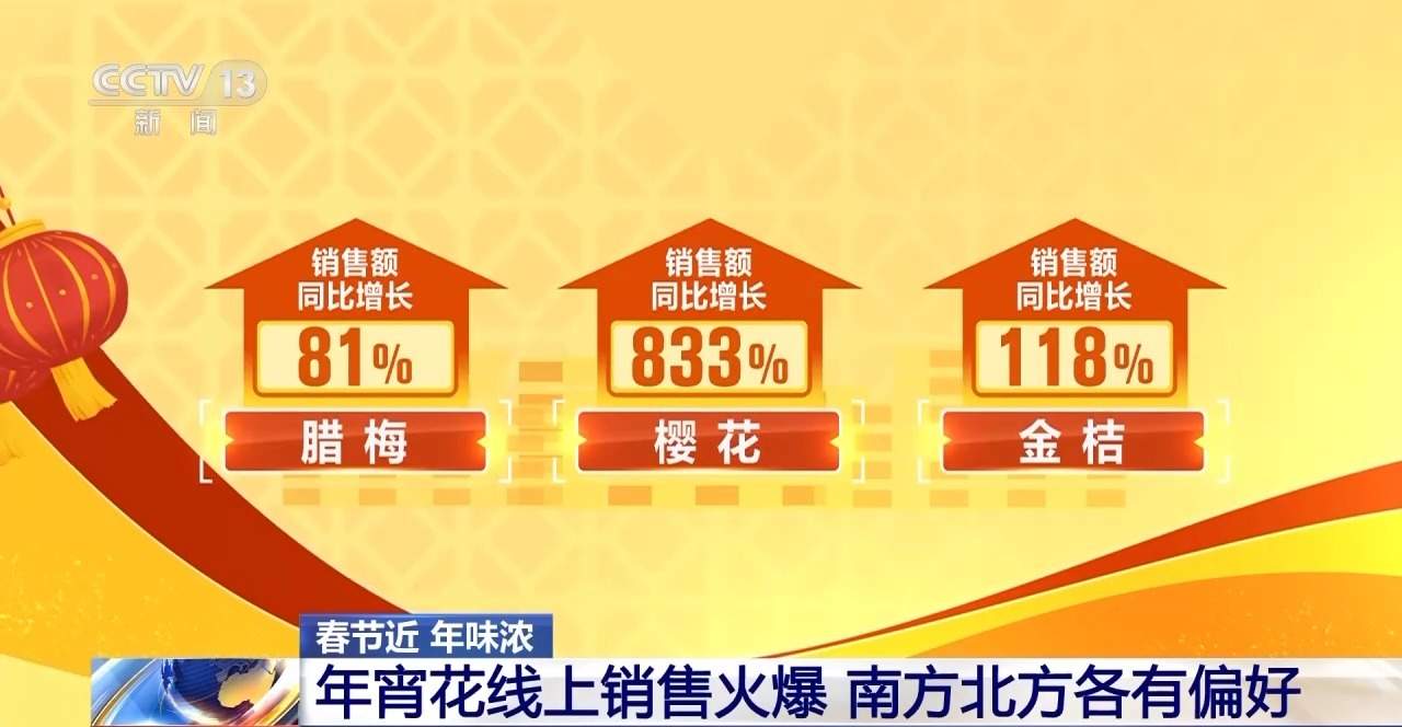 春节临近年宵花畅销！南北方偏好有不同 你选了哪一种?
