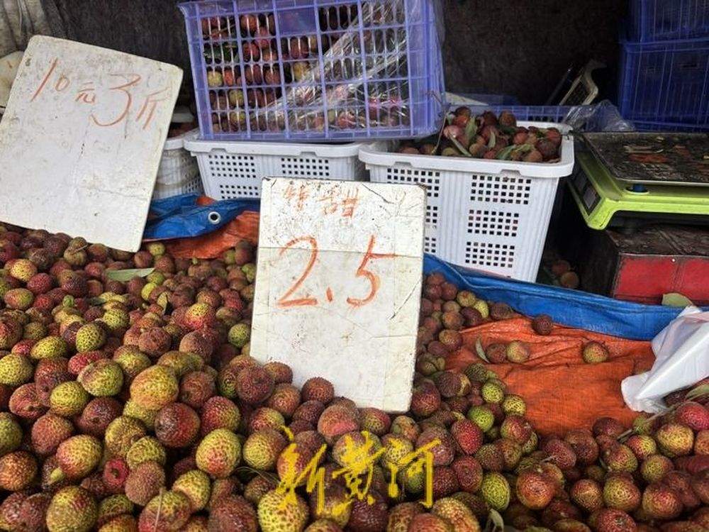 荔枝2.5元一斤，西红柿1元一斤，济南这家30多年早市“粉丝”不少