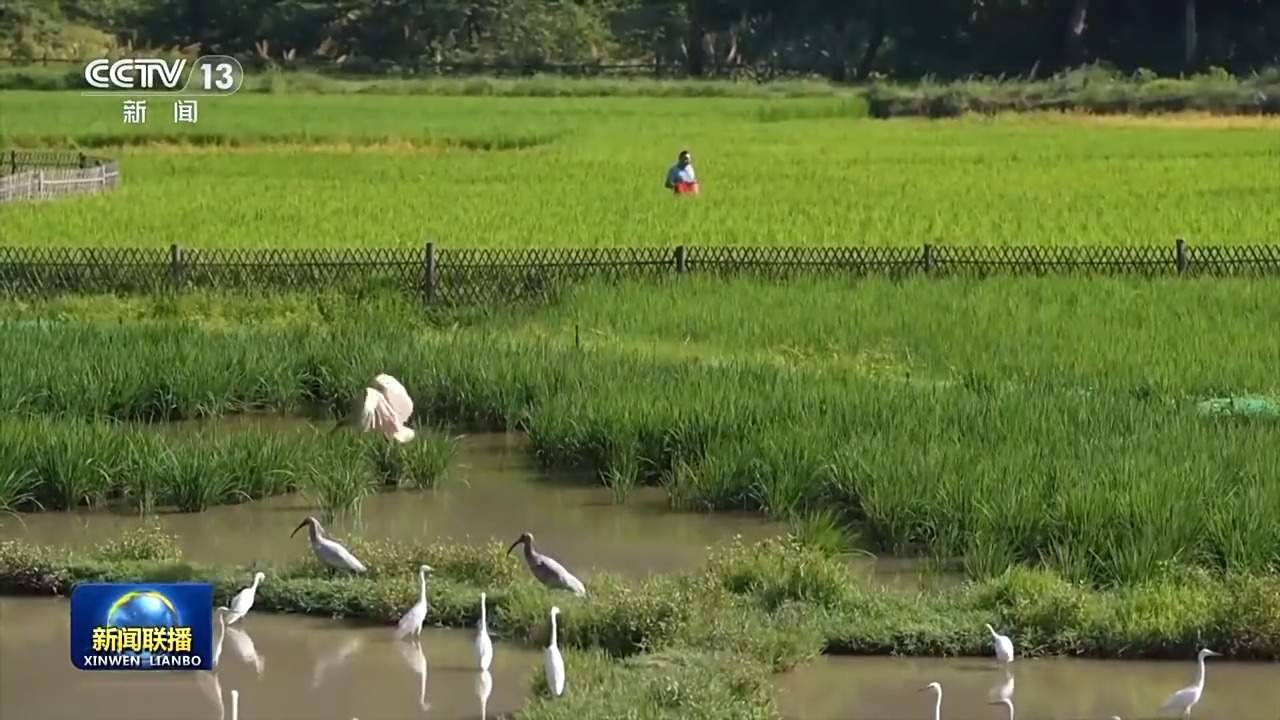 感知生态之变丨绿水青山就是金山银山