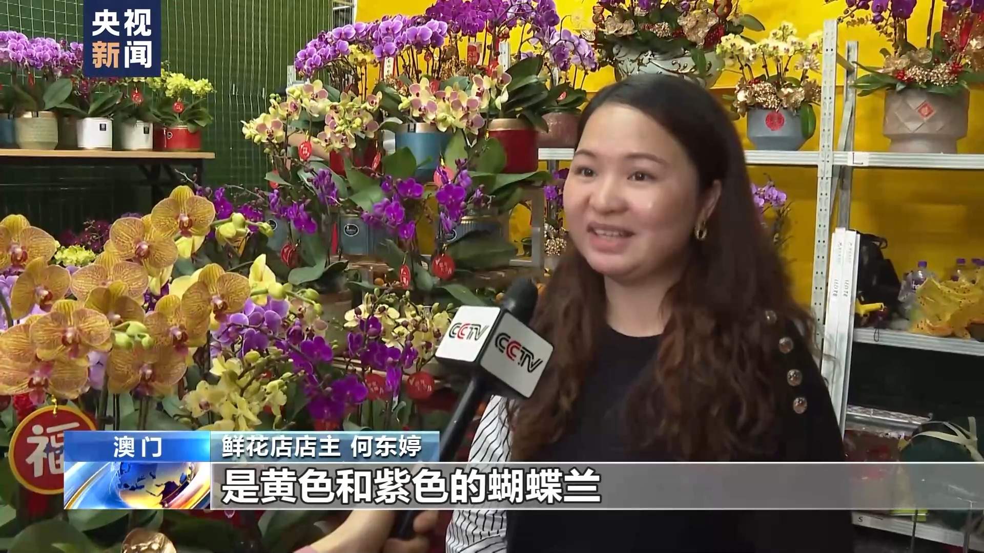 赏花灯逛市集 澳门浓浓年味迎新春