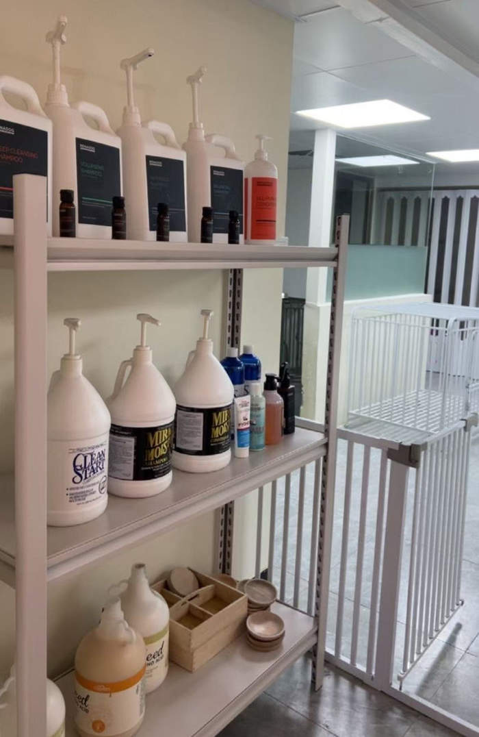 春节宠物经济火爆：美容、寄养一窝难求，上门喂养悄然兴起