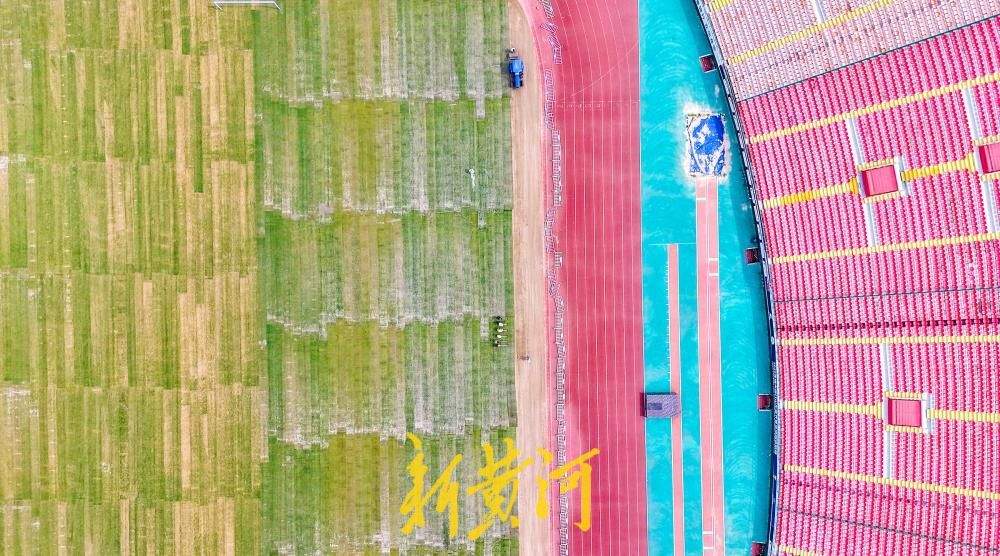 济南：省体育中心体育场草坪上新