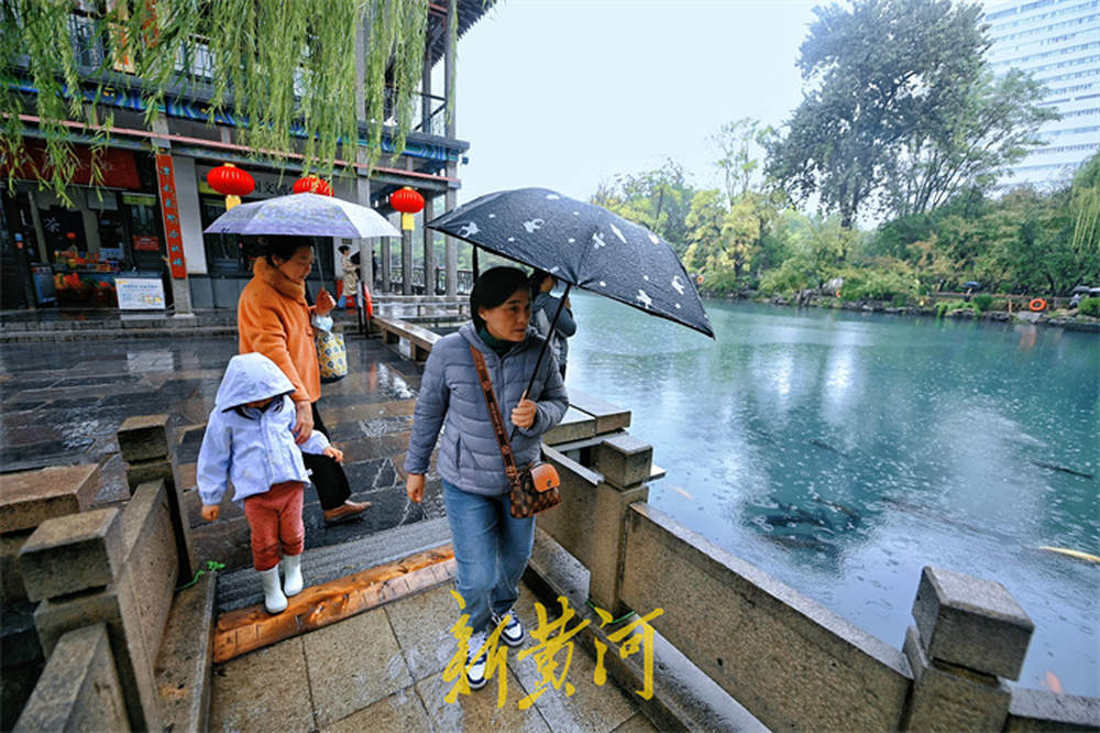 秋雨润泉城，赏泉好时节
