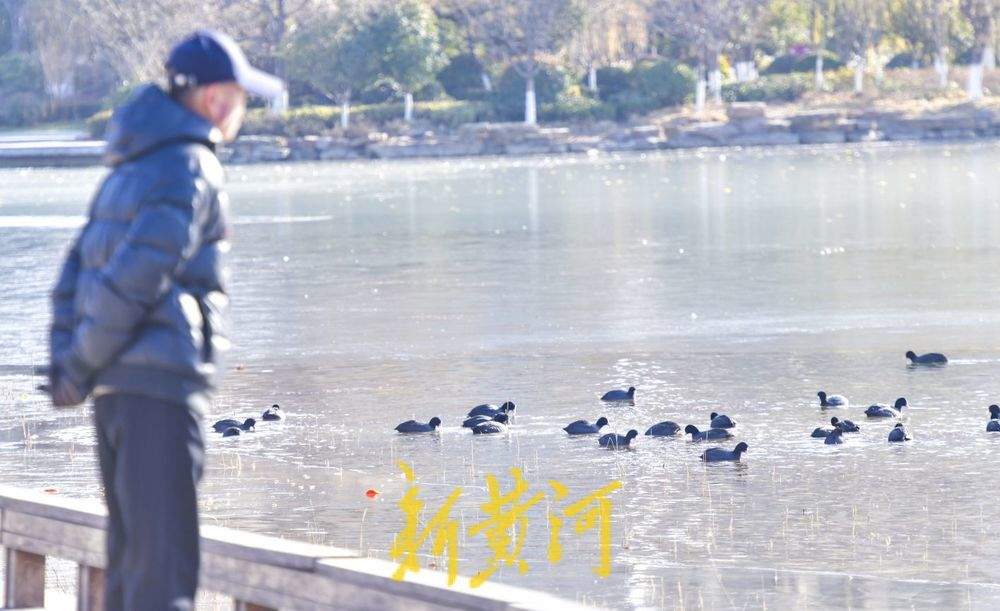 “泉”在济南冬游记｜候鸟栖息云锦湖，勾勒冬日画卷尽显生态之美