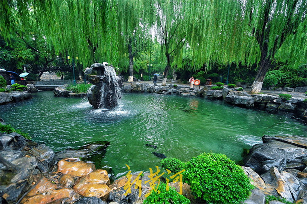 一年四季 泉在济南丨雨中“月牙飞瀑”势头更盛