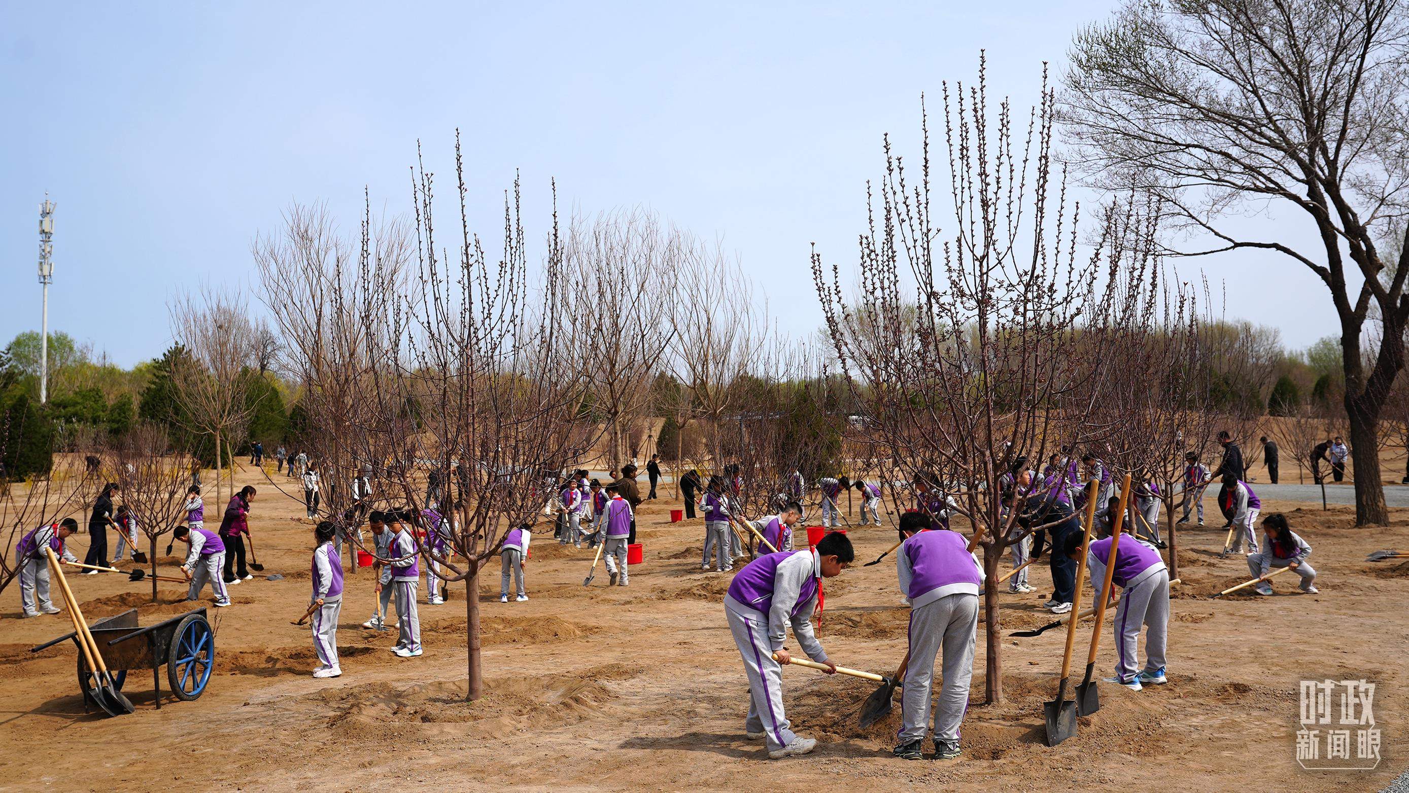 时政新闻眼丨在首都义务植树活动现场，习近平强调这件利国利民的大事