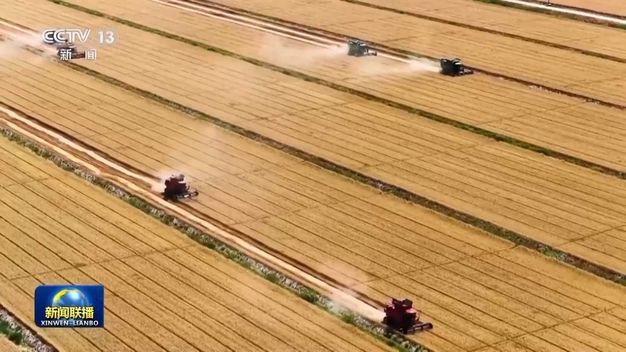 已收2.6亿亩 全国夏粮小麦进入收获高峰期