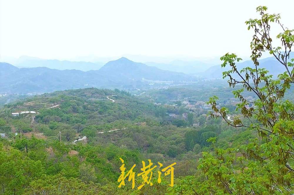 大山里的828路：一条近180度急转弯的公交线，把出行希望和温暖“转”进山村