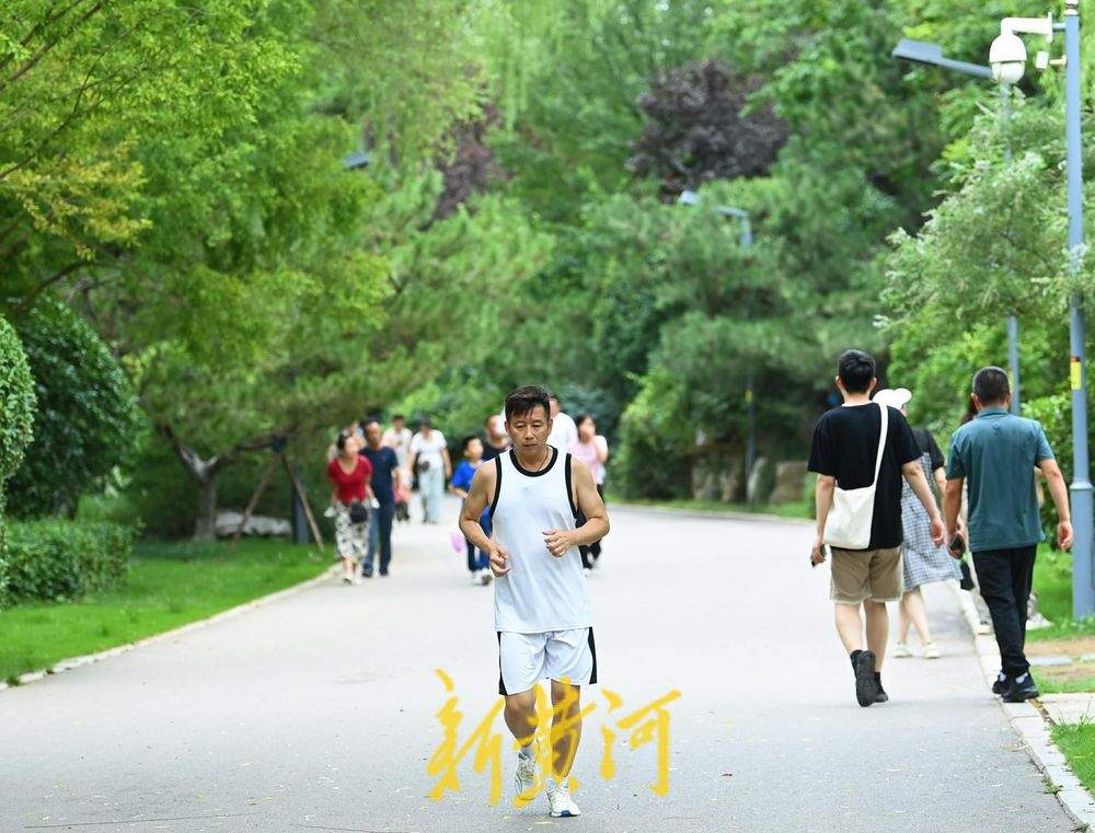 雨后漫步森林公园树荫小道 感受初秋的清凉