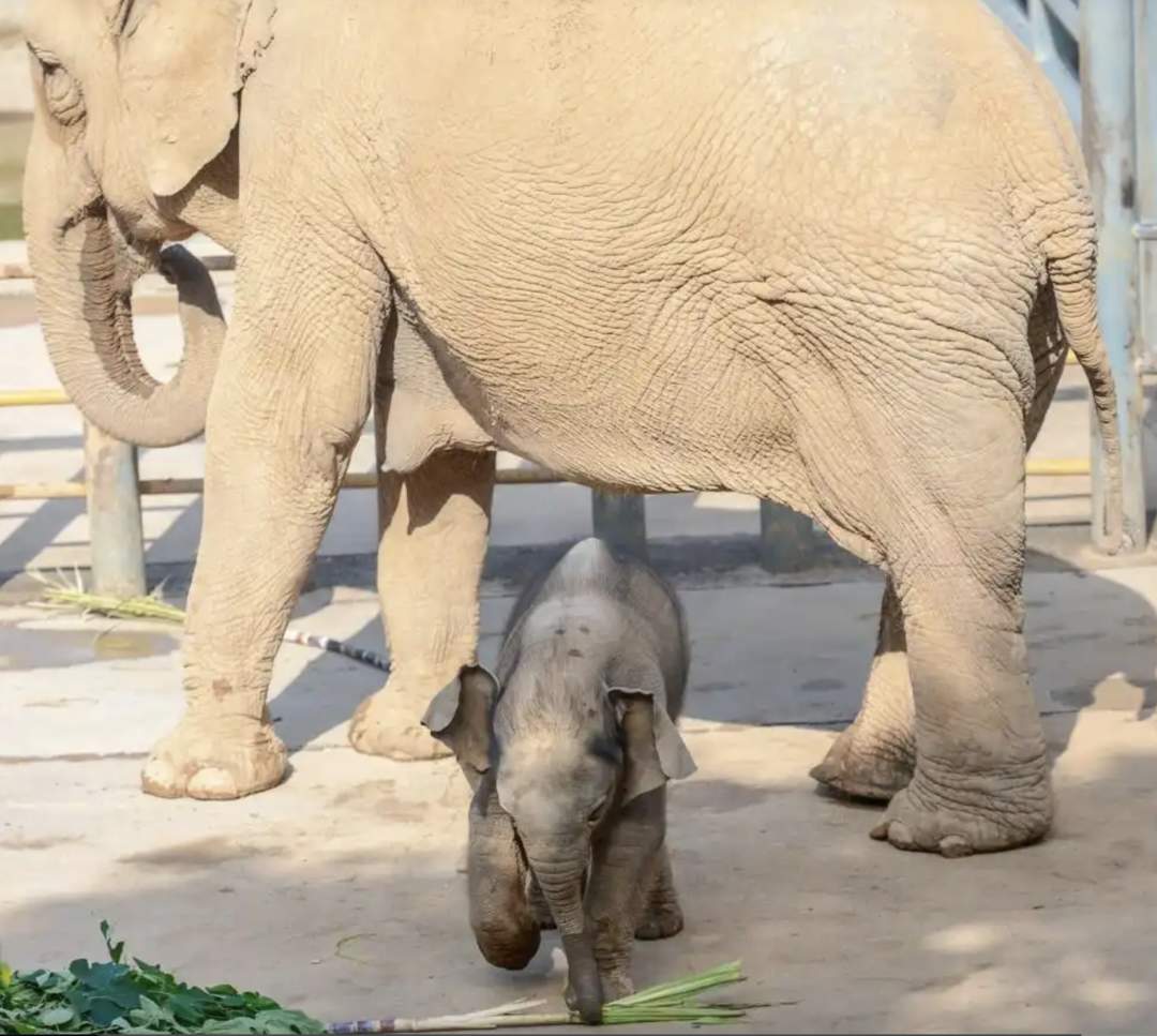 每逢假期必出圈，济南靠的啥？