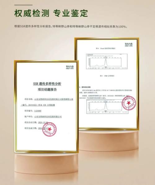 安然纳米携 “七彩生活” 再获殊荣！入选赋能案例，惠及万千家庭