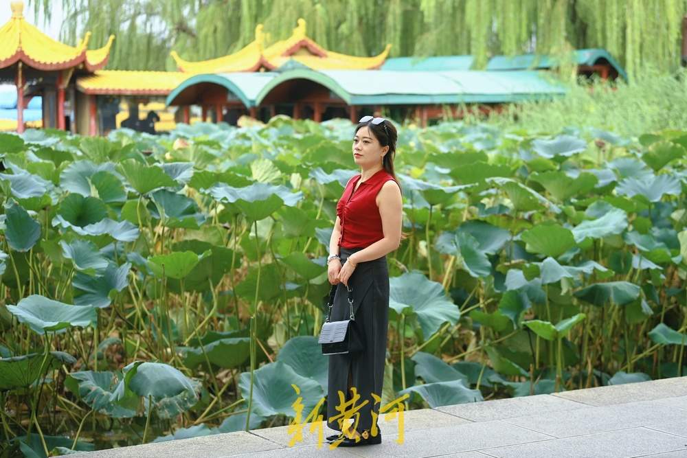 大明湖畔秋高气爽，游客驻足赏秋荷