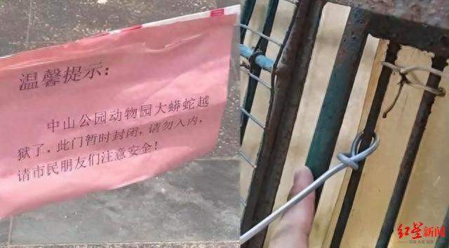 太吓人了 福建龙岩蟒蛇出逃仍未找到 动物园园长：入不敷出