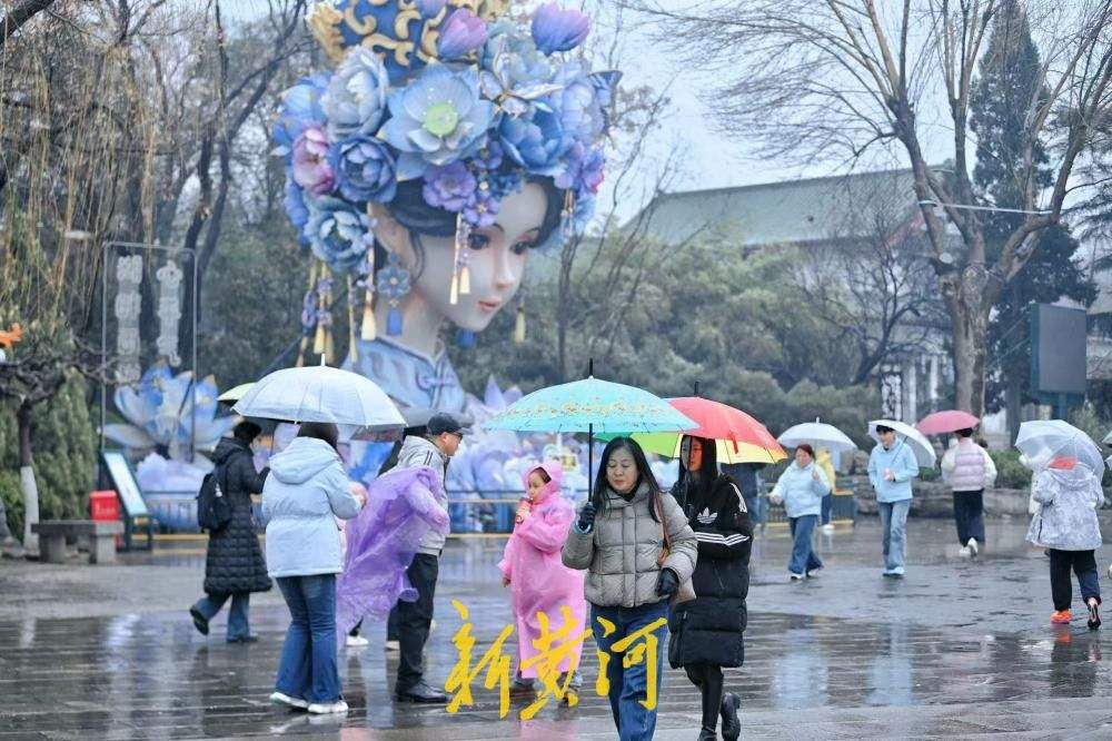 “湖畔雨荷2.0”雨中受追捧