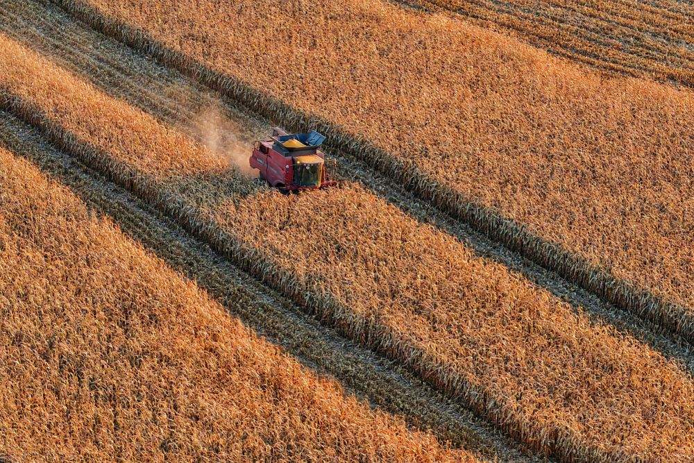 数览中国脉动｜粮稳天下安！“大国粮仓”高位增产