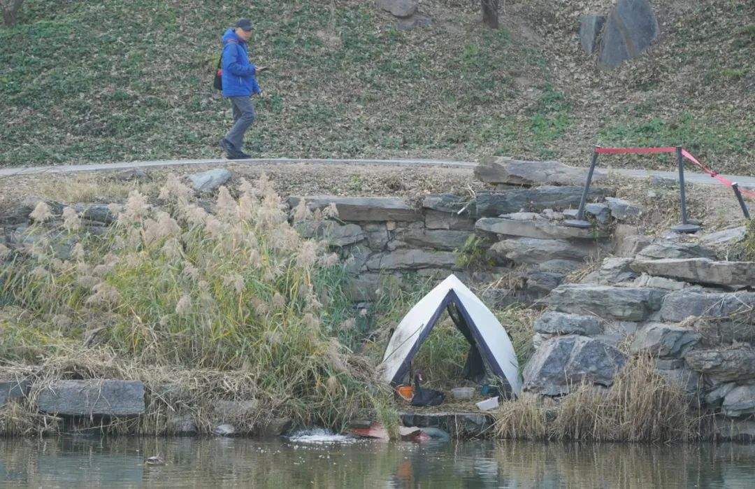 黑天鹅死因查明后，圆明园加设保护措施！现场直击