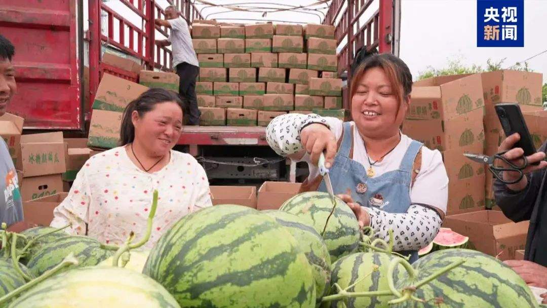 拍拍西瓜，就能月入过万？