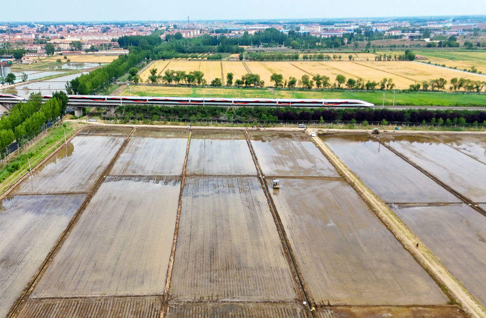 初夏时节插秧忙