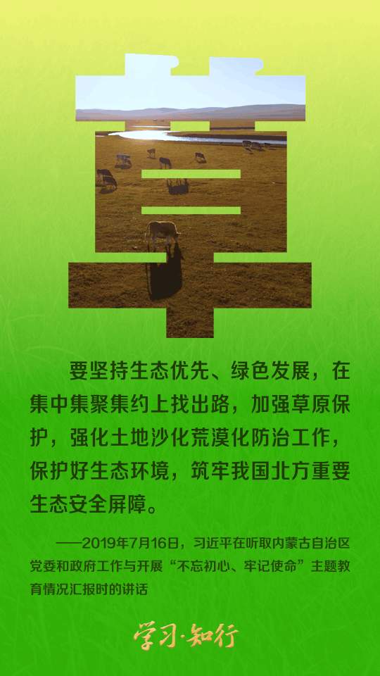 和谐共生丨八个字里的生态密码
