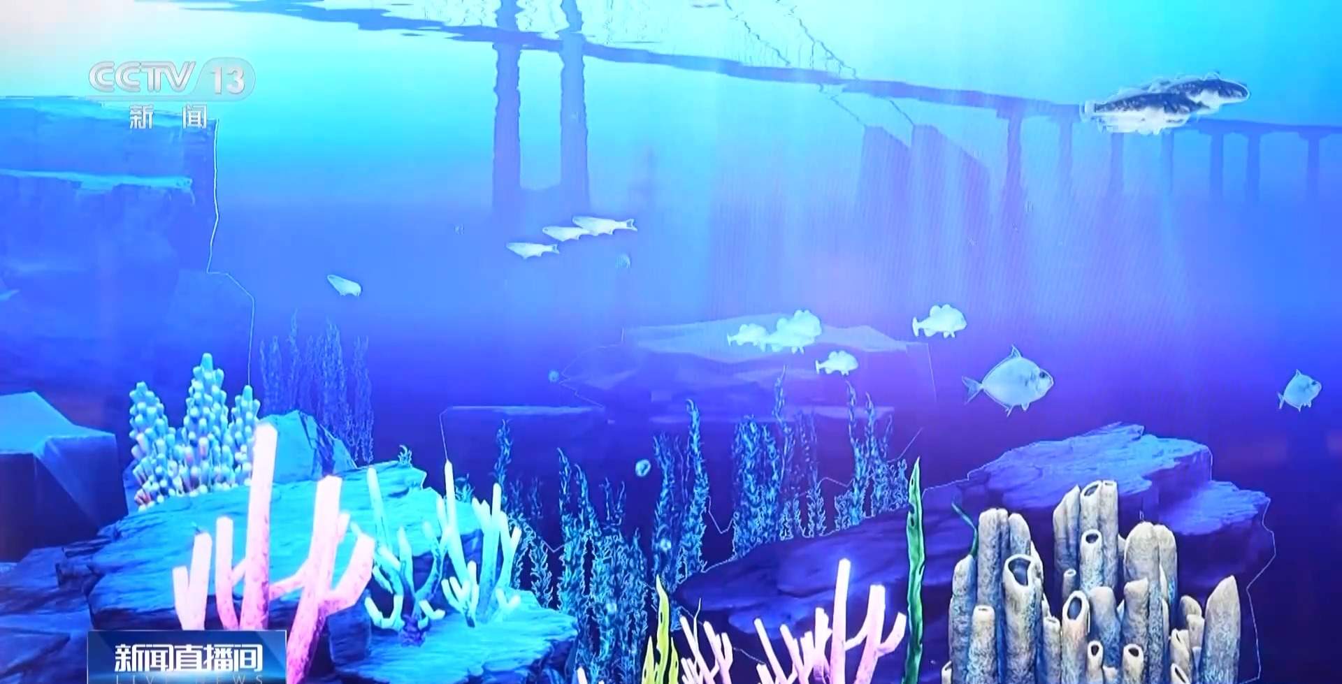 从北到南精彩不断 冰雪运动“燃”动冬日