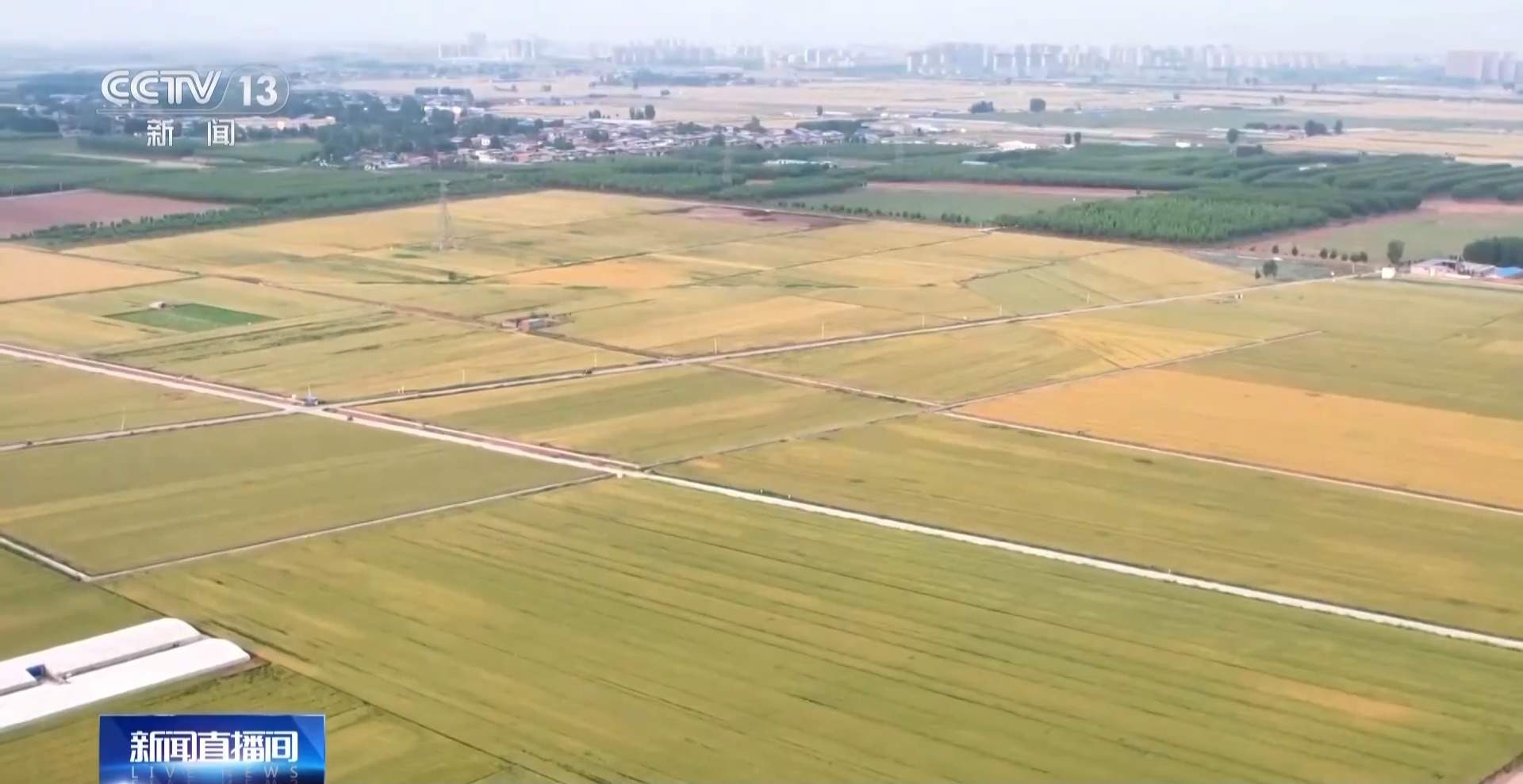 小满已到 该吃什么玩什么？小满时节全攻略来了