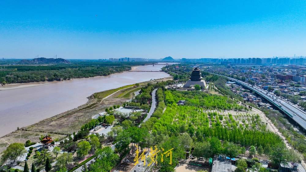 黄河两岸绿意葱茏，山桥楼阁同框绘新景