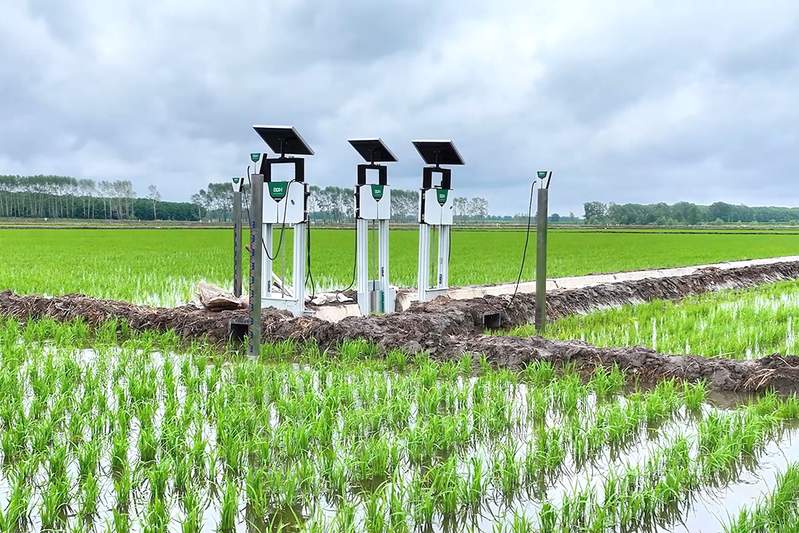 北斗导航绘制“丰收图景” 农机驰骋助力“三夏”颗粒尽归仓