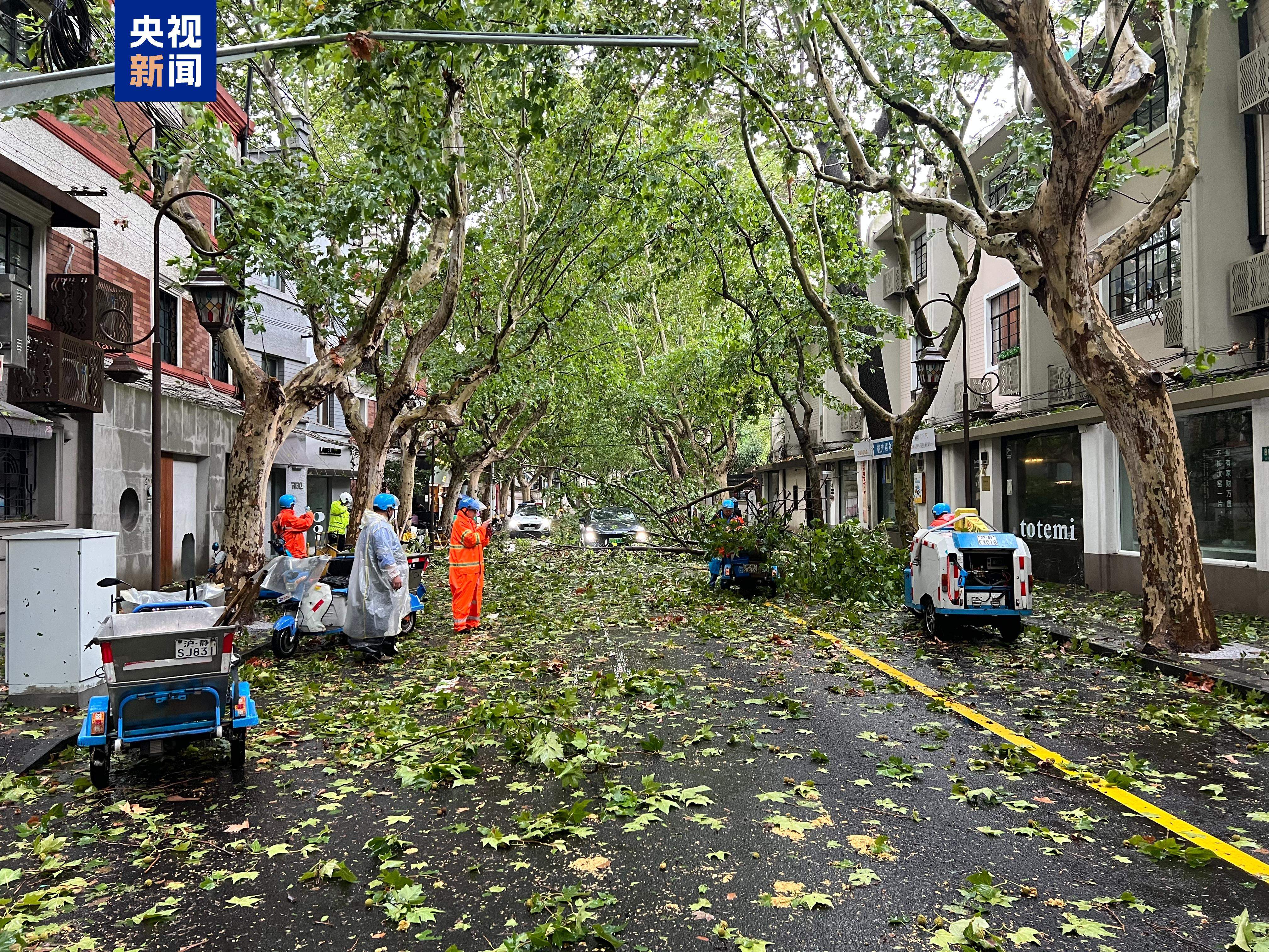 受台风“贝碧嘉”影响 上海取消航班超1400班次