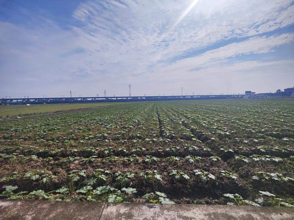 科技赋能，解锁新时代大国粮仓的“智慧密码”