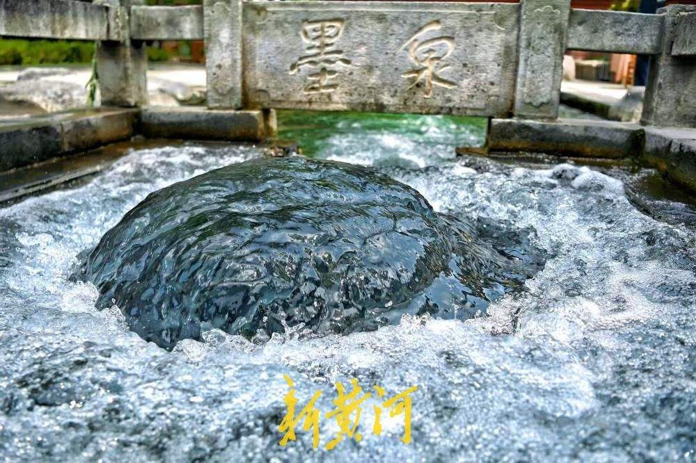 一年四季 泉在济南丨观泉消暑正当时 墨泉喷涌盛景尽显泉城气韵