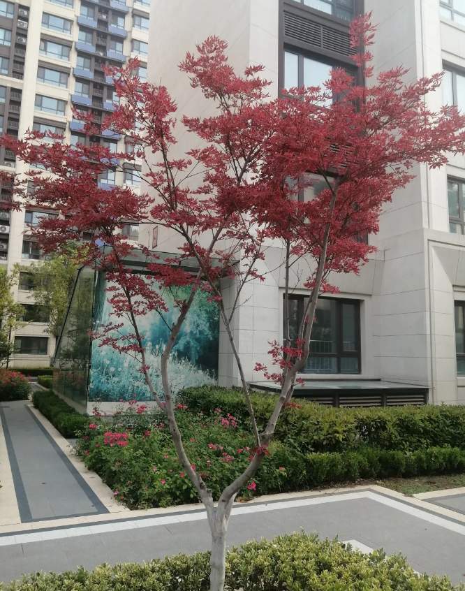 济南新增4类人才政策，透露了三个关键信号！