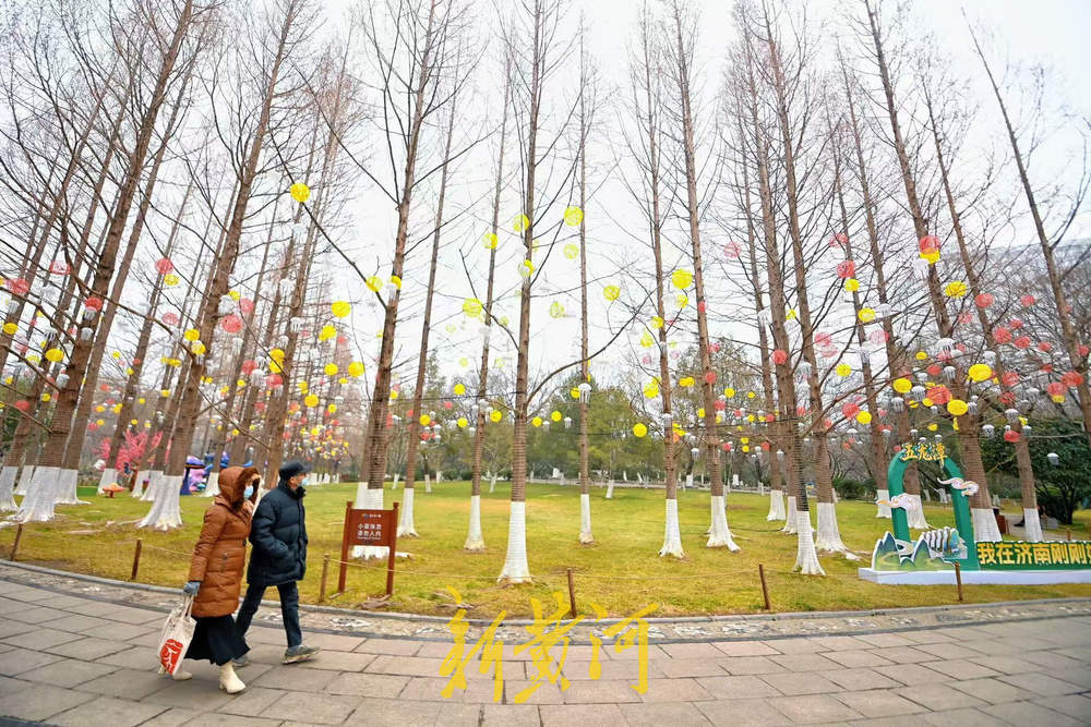 泉城气温骤降，市民游客寒风中赏花灯